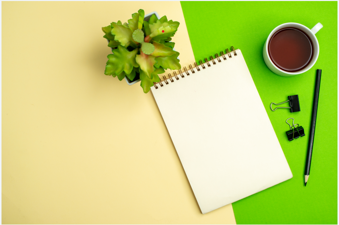 Blog Your Translator